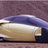 I.A.D. Venus, 1989